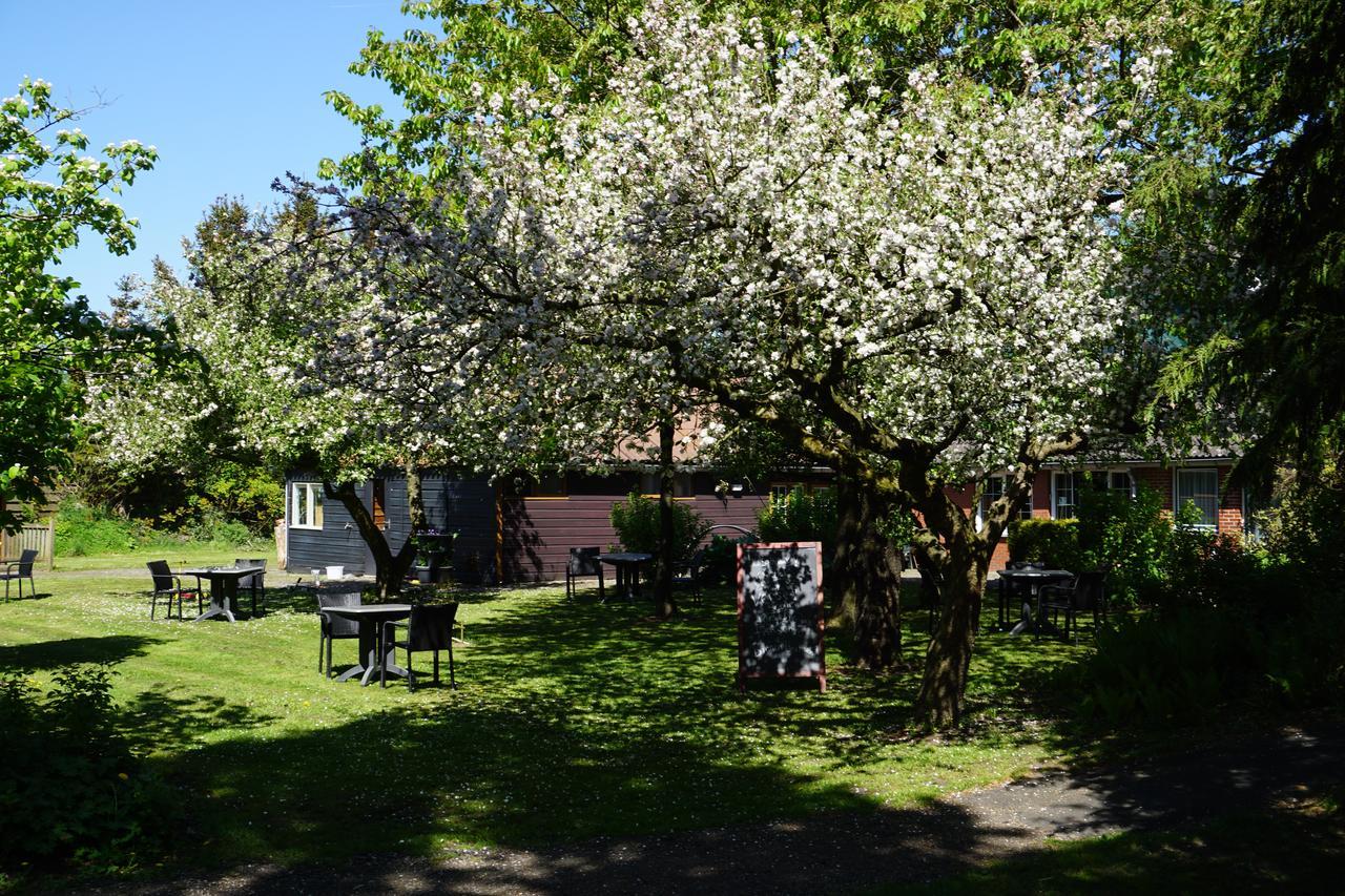Lucy'S Inn Eesergroen Bagian luar foto